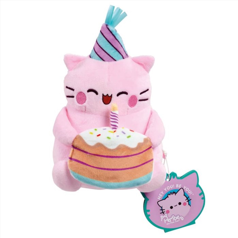 Pembe Happy Birthday Small Soft Toy/Product Detail/Plush Toys