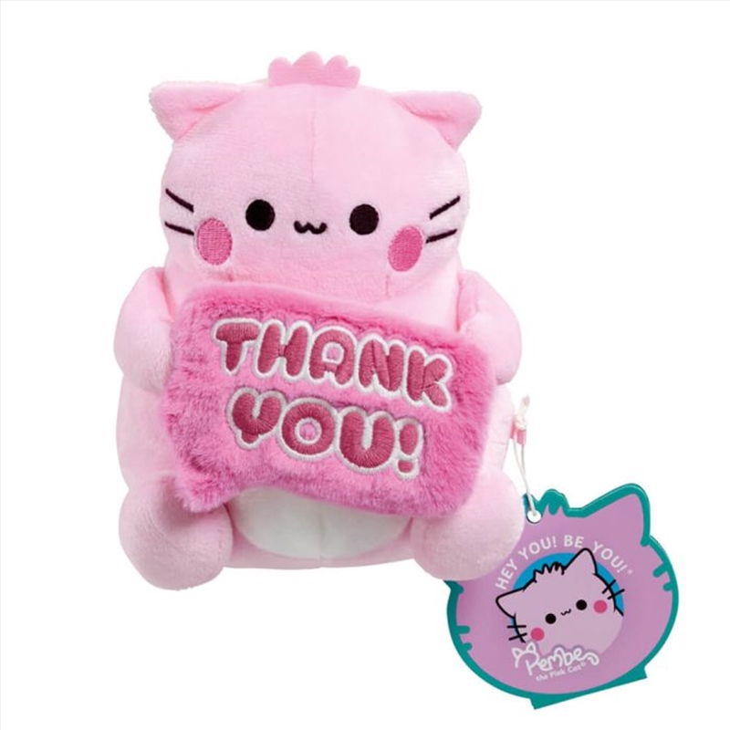 Pembe Thank You Small Soft Toy/Product Detail/Plush Toys