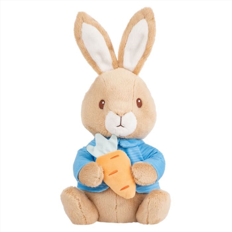 Peter Rabbit Holding Carrot Soft Toy/Product Detail/Plush Toys