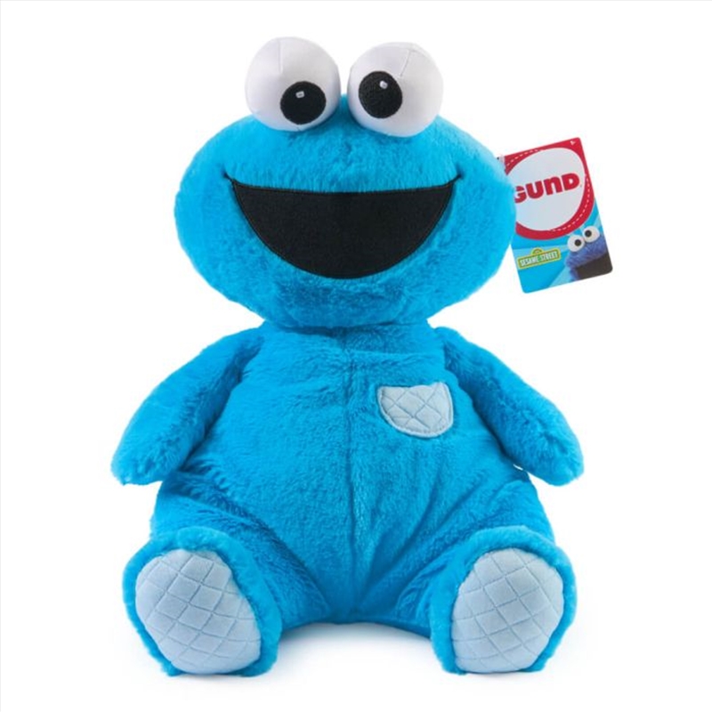 Sesame Street Oh So Snuggly Cookie Monster/Product Detail/Plush Toys