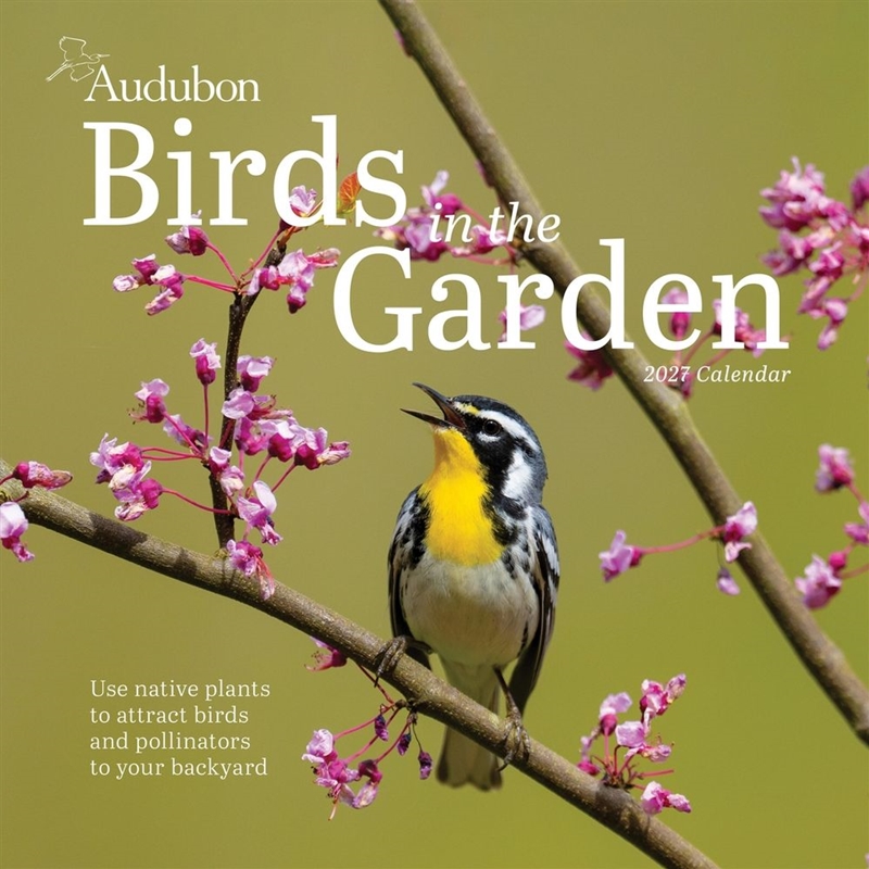 Audubon Birds in the Garden Wall Calendar 2027/Product Detail/Calendars & Diaries