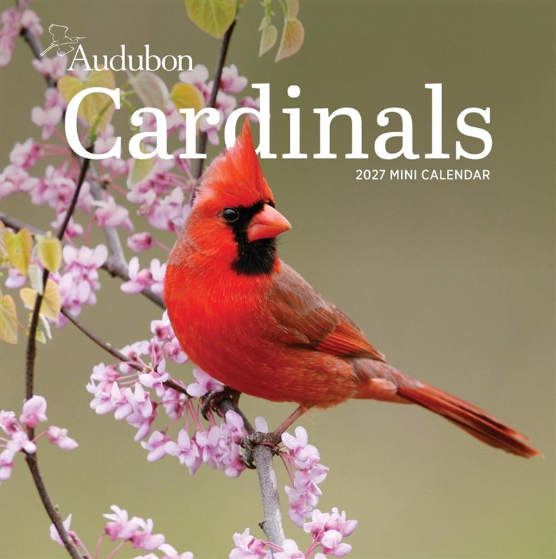 Audubon Cardinals Mini Wall Calendar 2027/Product Detail/Calendars & Diaries