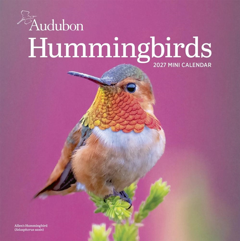 Audubon Hummingbirds Mini Wall Calendar 2027/Product Detail/Calendars & Diaries