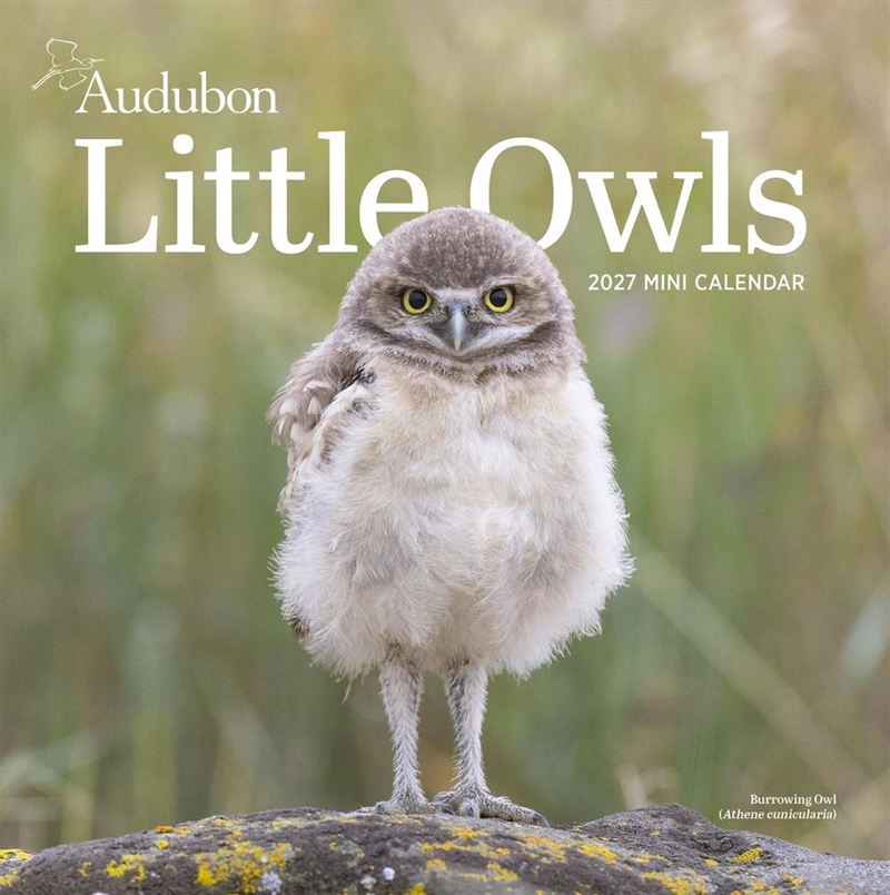 Audubon Little Owls Mini Wall Calendar 2027/Product Detail/Calendars & Diaries