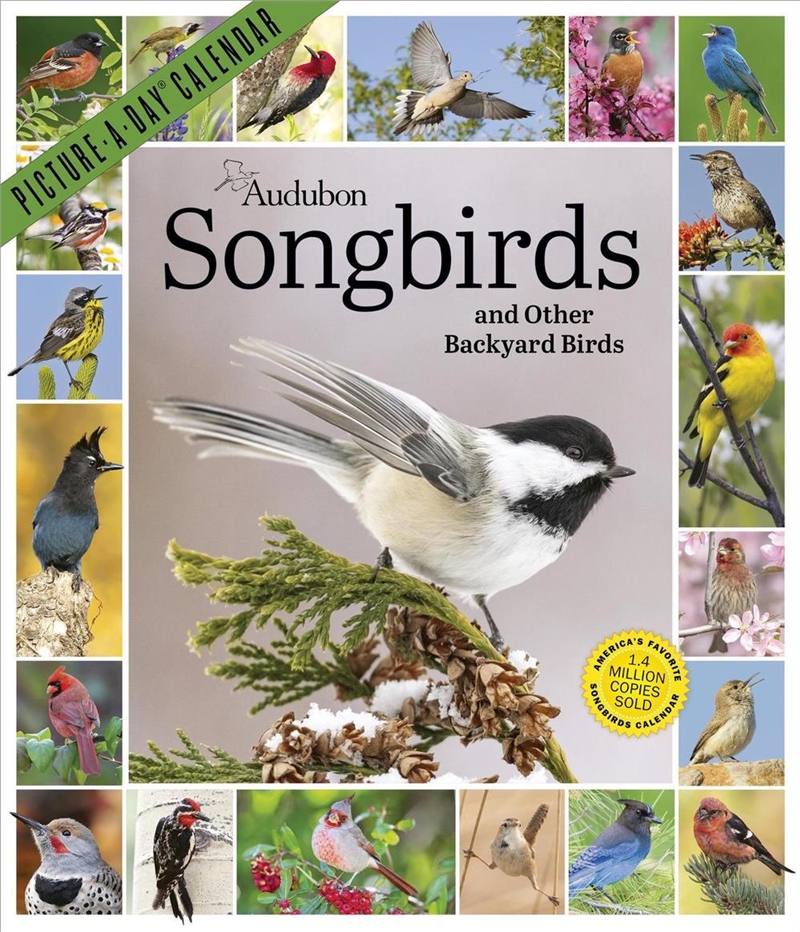Audubon Songbirds and Other Backyard Birds Picture-A-Day  Wall Calendar 2027/Product Detail/Calendars & Diaries
