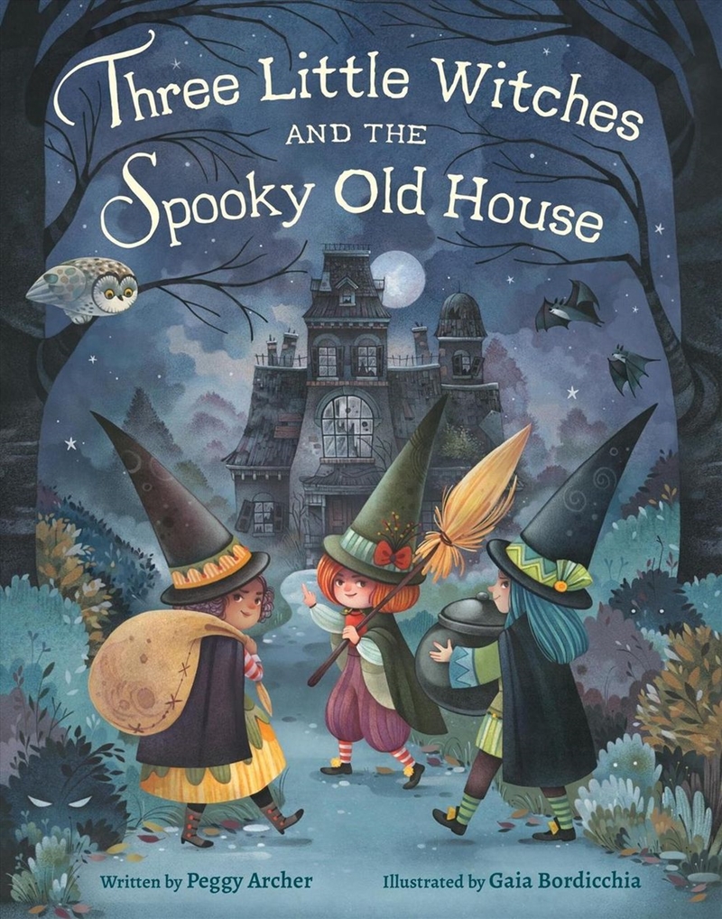 Three Little Witches and the Spooky Old House/Product Detail/Childrens Fiction Books