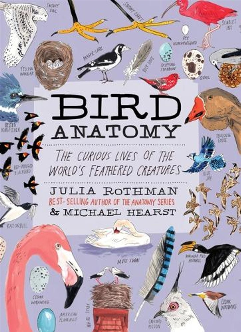 Bird Anatomy/Product Detail/Animals & Nature