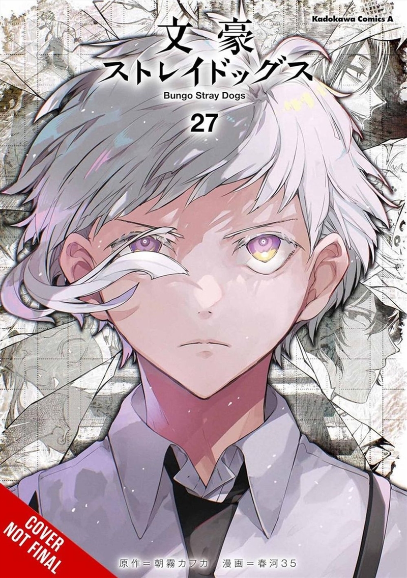 Bungo Stray Dogs, Vol. 27/Product Detail/Graphic Novels
