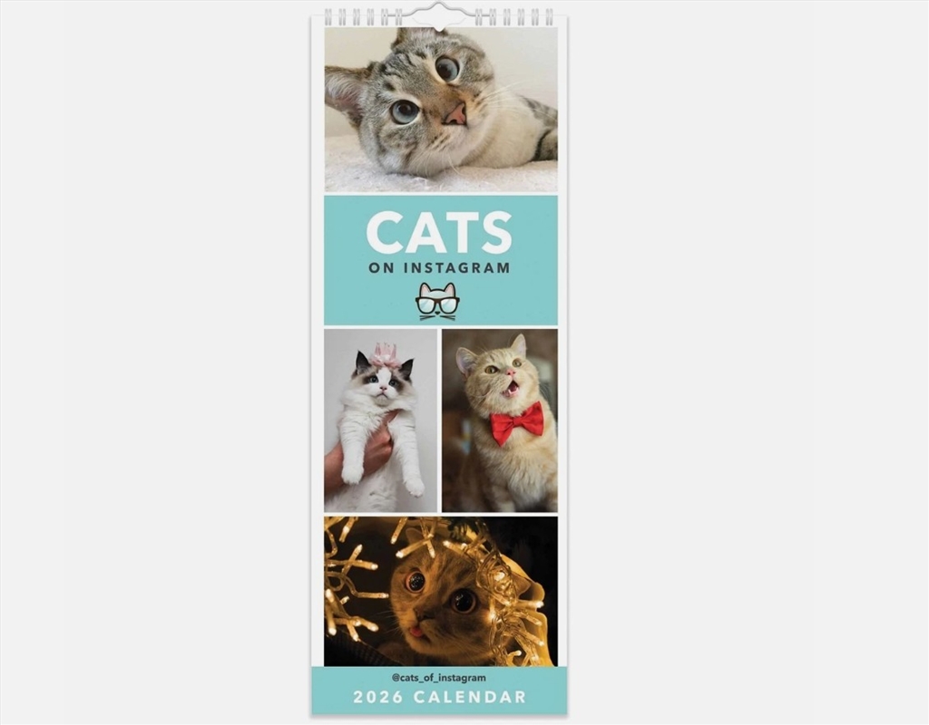 Cats On Instagram Slim Calendar 2026/Product Detail/Calendars & Diaries