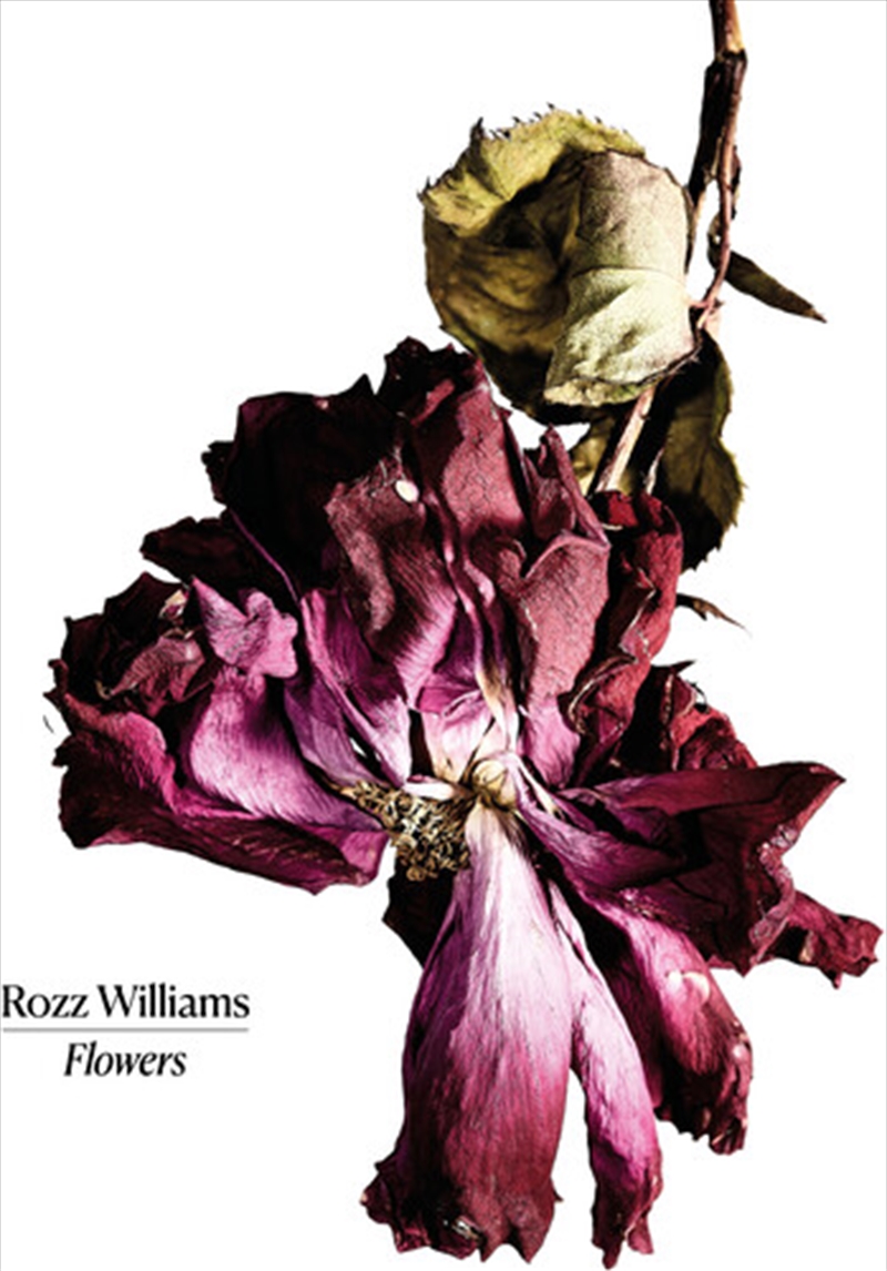 Flowers/Product Detail/Rock/Pop