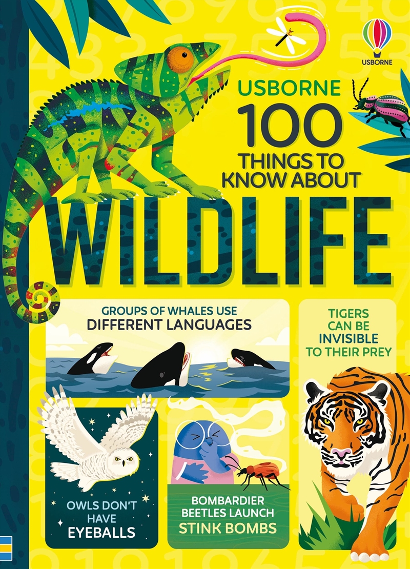 100 Things to Know About Wildlife/Product Detail/Animals & Nature