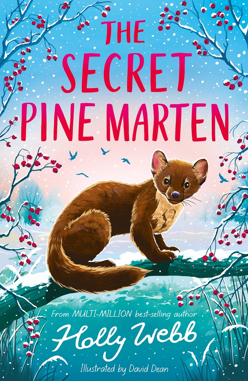 The Secret Pine Marten/Product Detail/Childrens Fiction Books