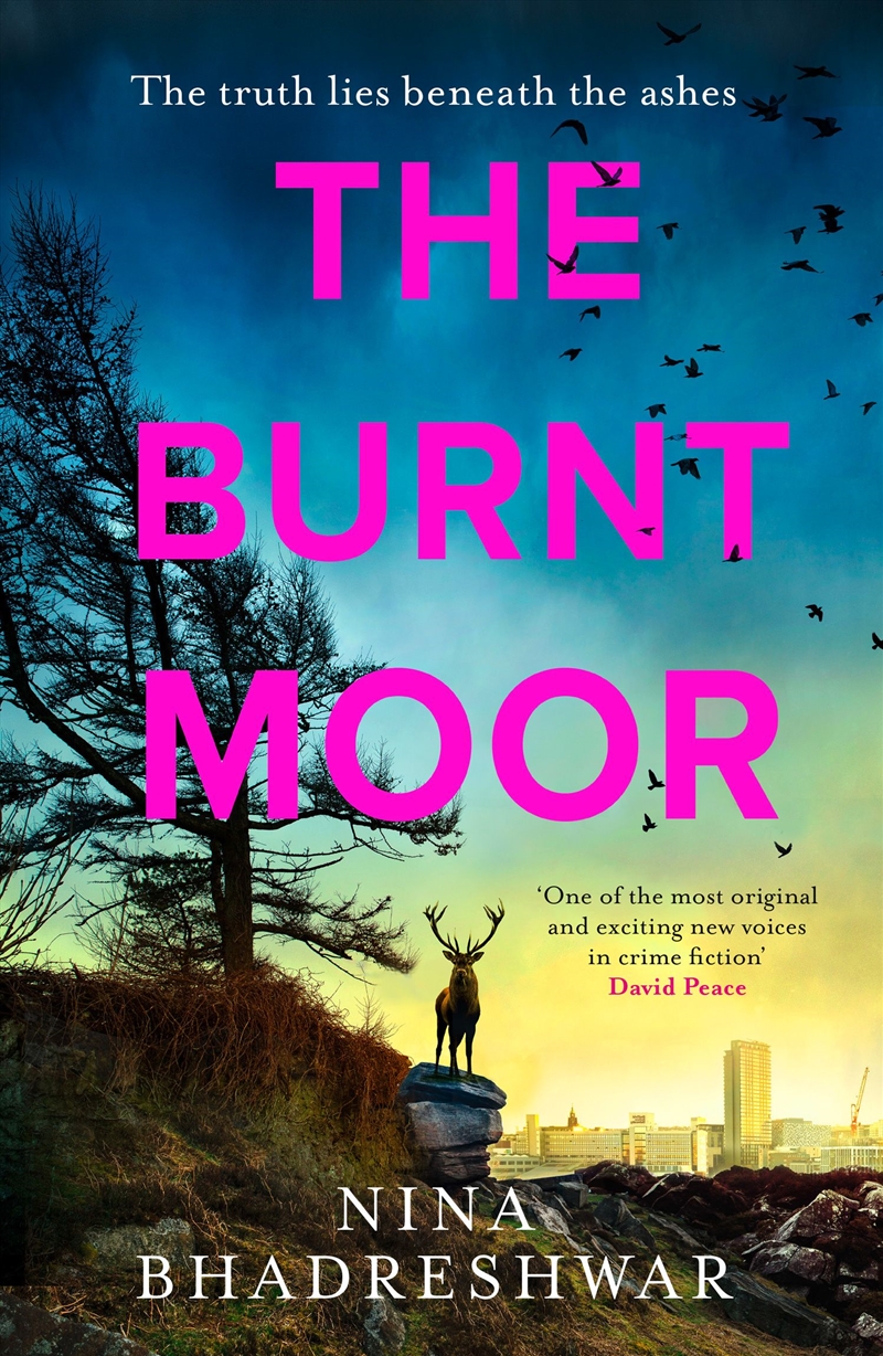 The Burnt Moor/Product Detail/Crime & Mystery Fiction