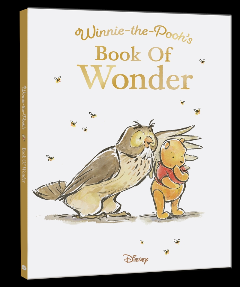Winnie-the-Pooh’s Book of Wonder/Product Detail/Early Childhood Fiction Books