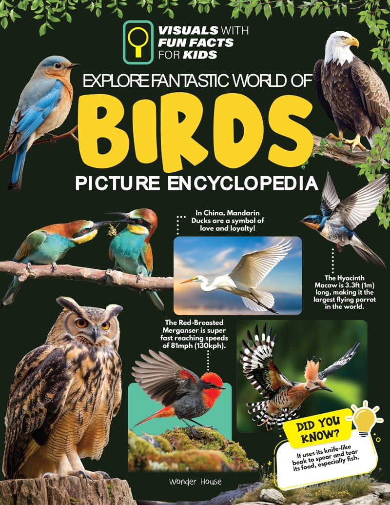 Explore Fantastic World of Birds Picture Encyclopedia/Product Detail/Childrens