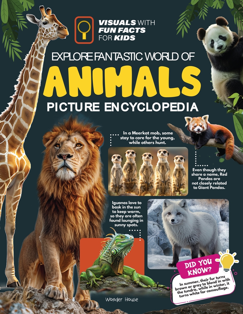 Explore Fantastic World of Animals Picture Encyclopedia/Product Detail/Childrens