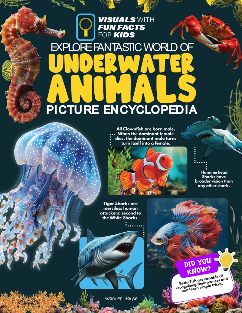 Explore Fantastic World of Underwater Picture Encyclopedia/Product Detail/Childrens