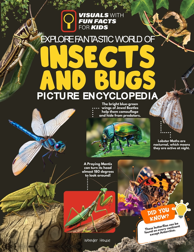 Explore Fantastic World of Insects And Bugs Picture Encyclopedia/Product Detail/Childrens