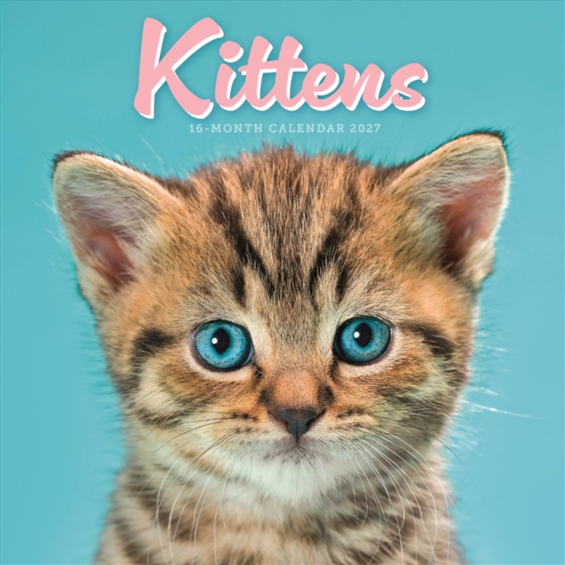 Kittens Mini Calendar/Product Detail/Calendars & Diaries