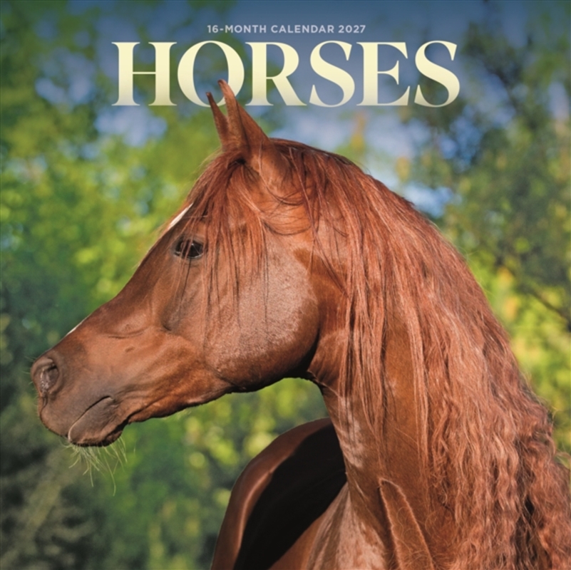 Horses M/Product Detail/Calendars & Diaries