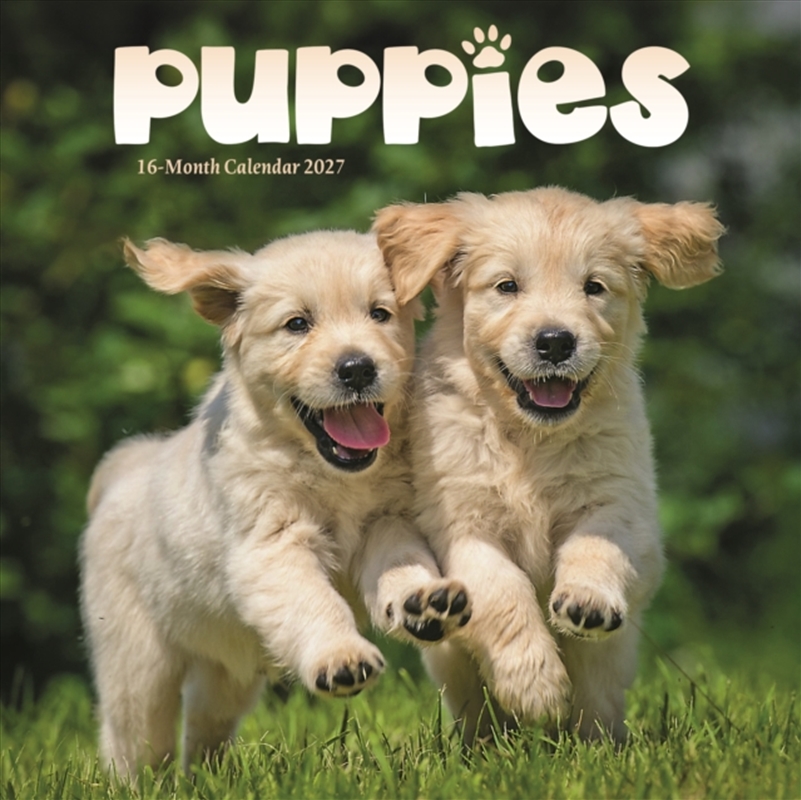 Puppies Mini Calendar/Product Detail/Calendars & Diaries