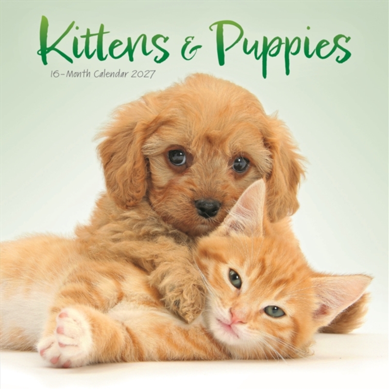 Kittens & Puppies Mini Calendar/Product Detail/Calendars & Diaries