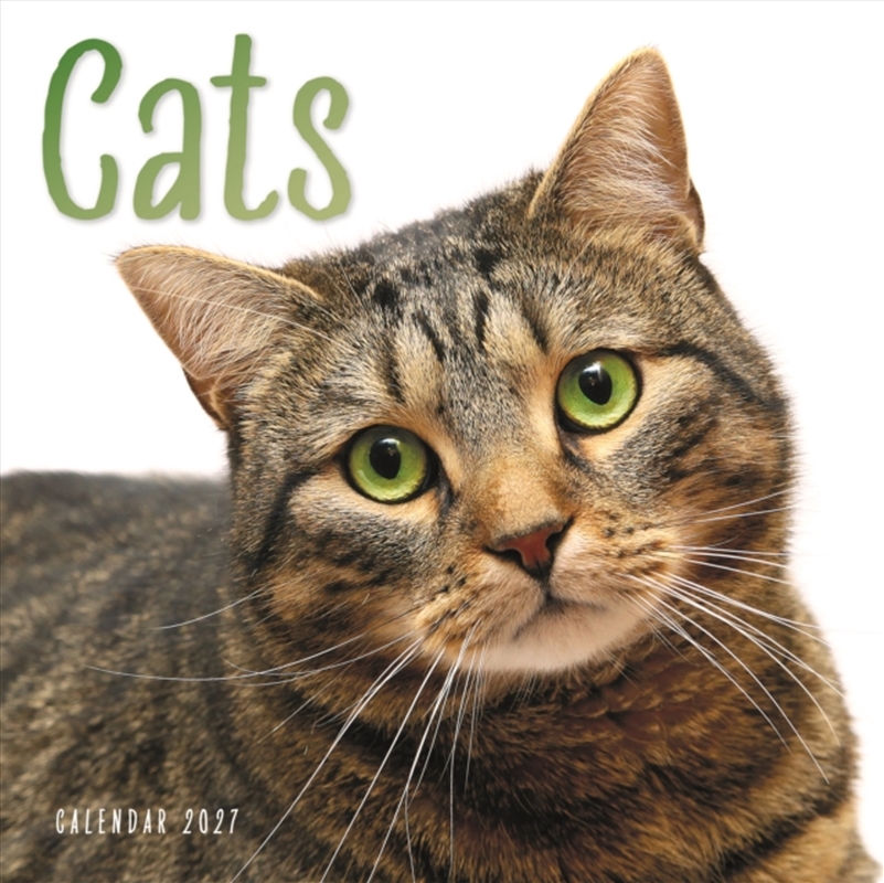 Cats W / CAROUS/Product Detail/Calendars & Diaries