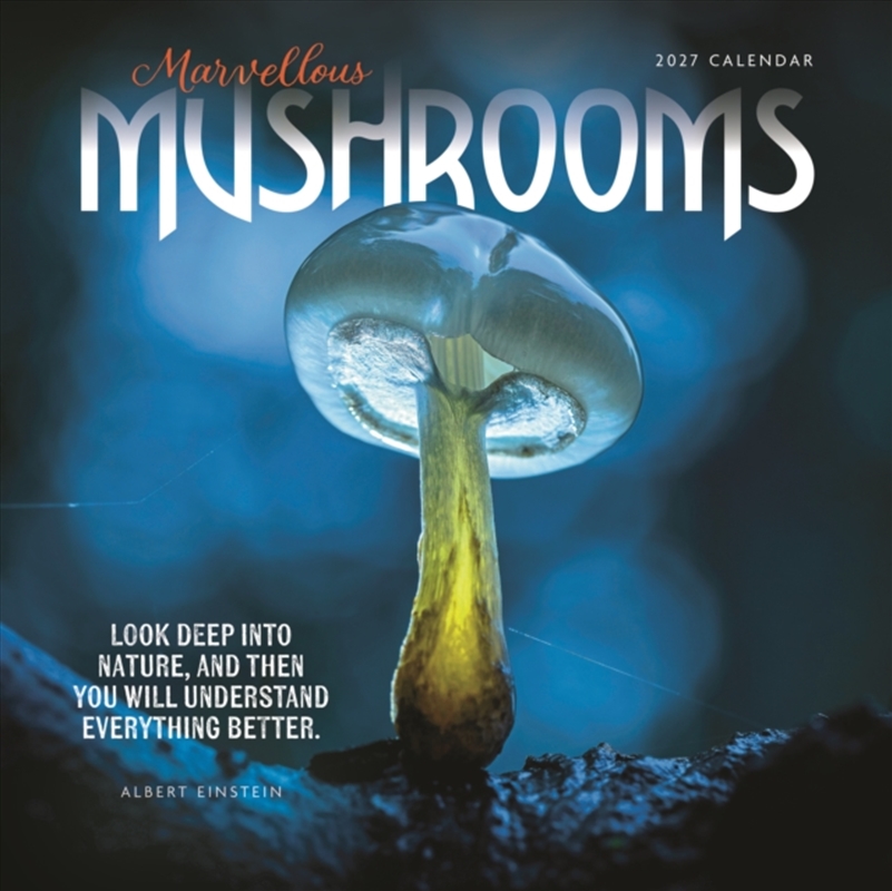 Marvellous Mushrooms Wall Calendar/Product Detail/Calendars & Diaries