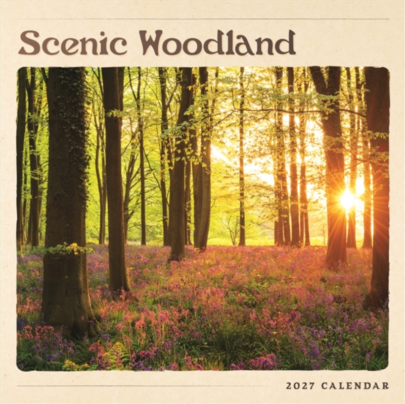 Scenic Woodland Wall Calendar/Product Detail/Calendars & Diaries