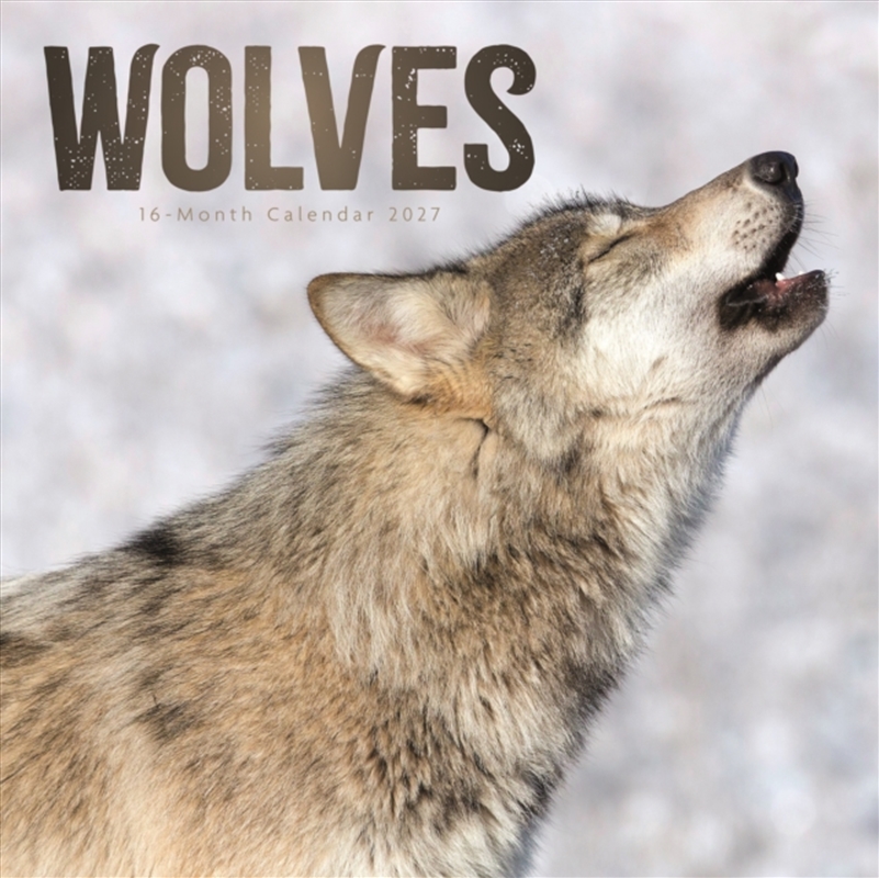 Wolves Wall Calendar/Product Detail/Calendars & Diaries