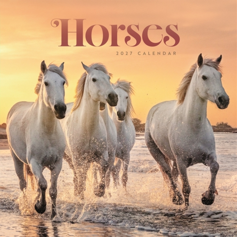 Horses Wiro Wall Calendar/Product Detail/Calendars & Diaries