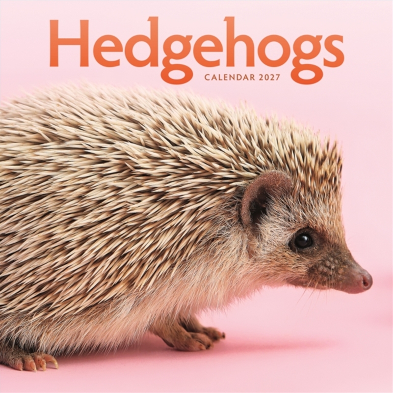 Hedgehogs (PFP) Wall Calendar/Product Detail/Calendars & Diaries