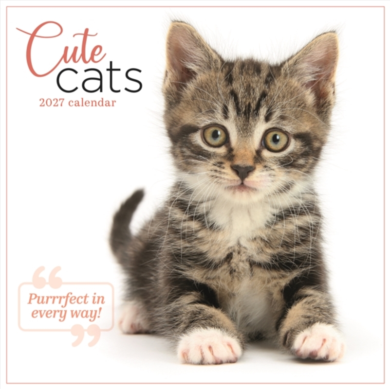 Cute Cats Wall Calendar (PFP)/Product Detail/Calendars & Diaries
