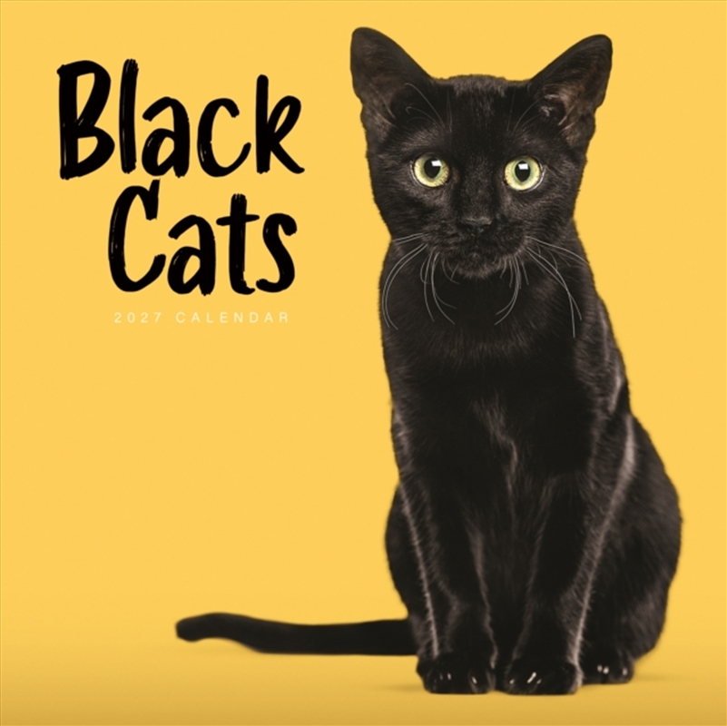 Black Cats (PFP) Wall Calendar/Product Detail/Calendars & Diaries