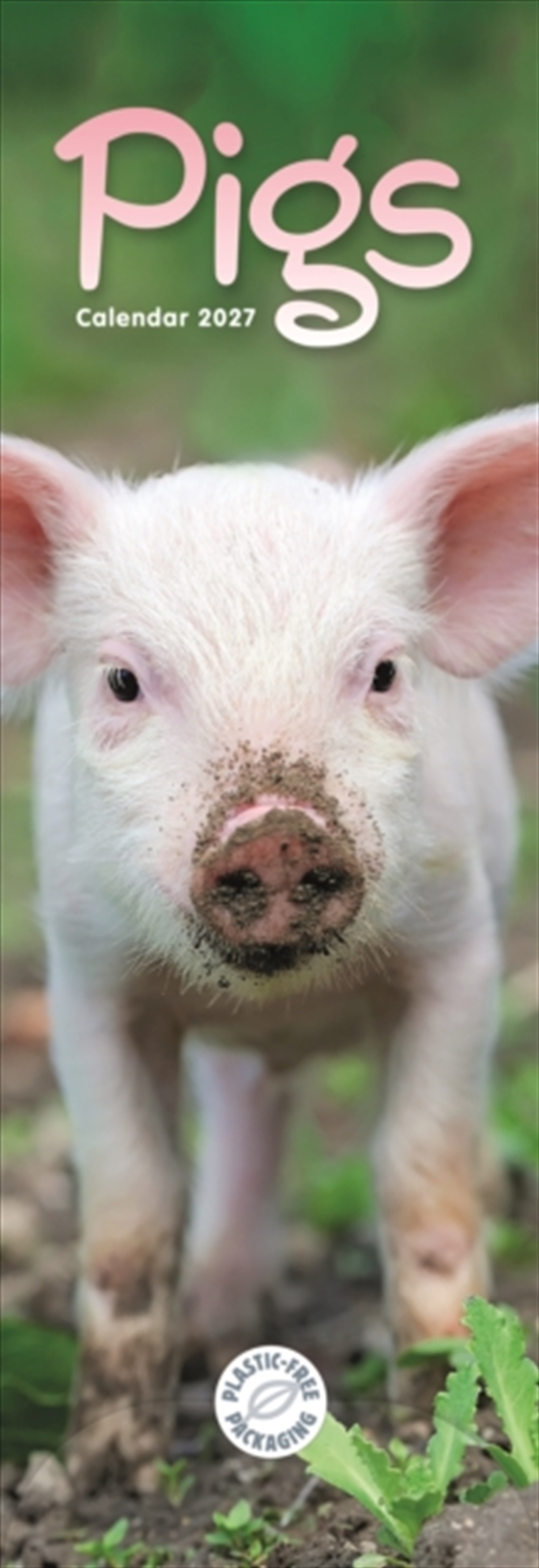 Pigs (PFP)Slim Calendar/Product Detail/Calendars & Diaries