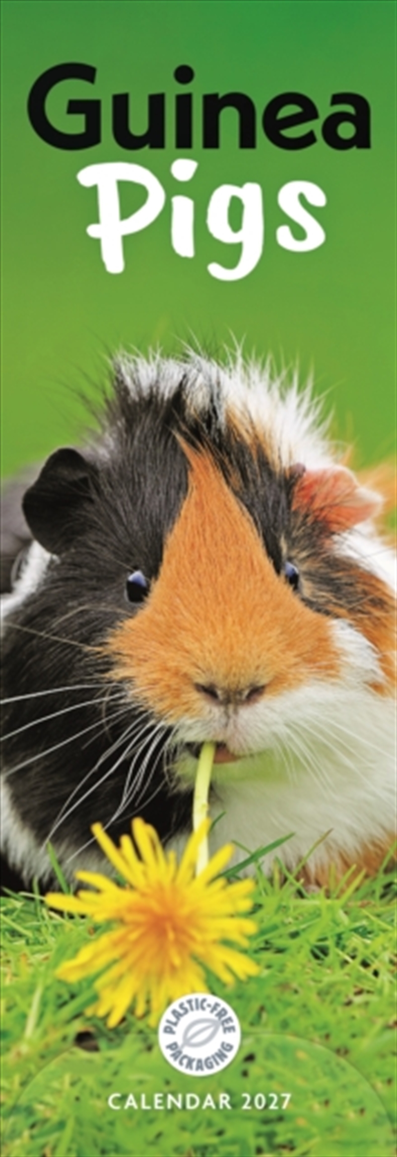 Guinea Pigs (PFP)Slim Calendar/Product Detail/Calendars & Diaries