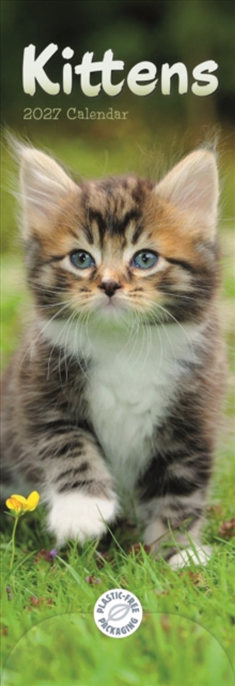 Kittens (PFP)Slim Calendar/Product Detail/Calendars & Diaries