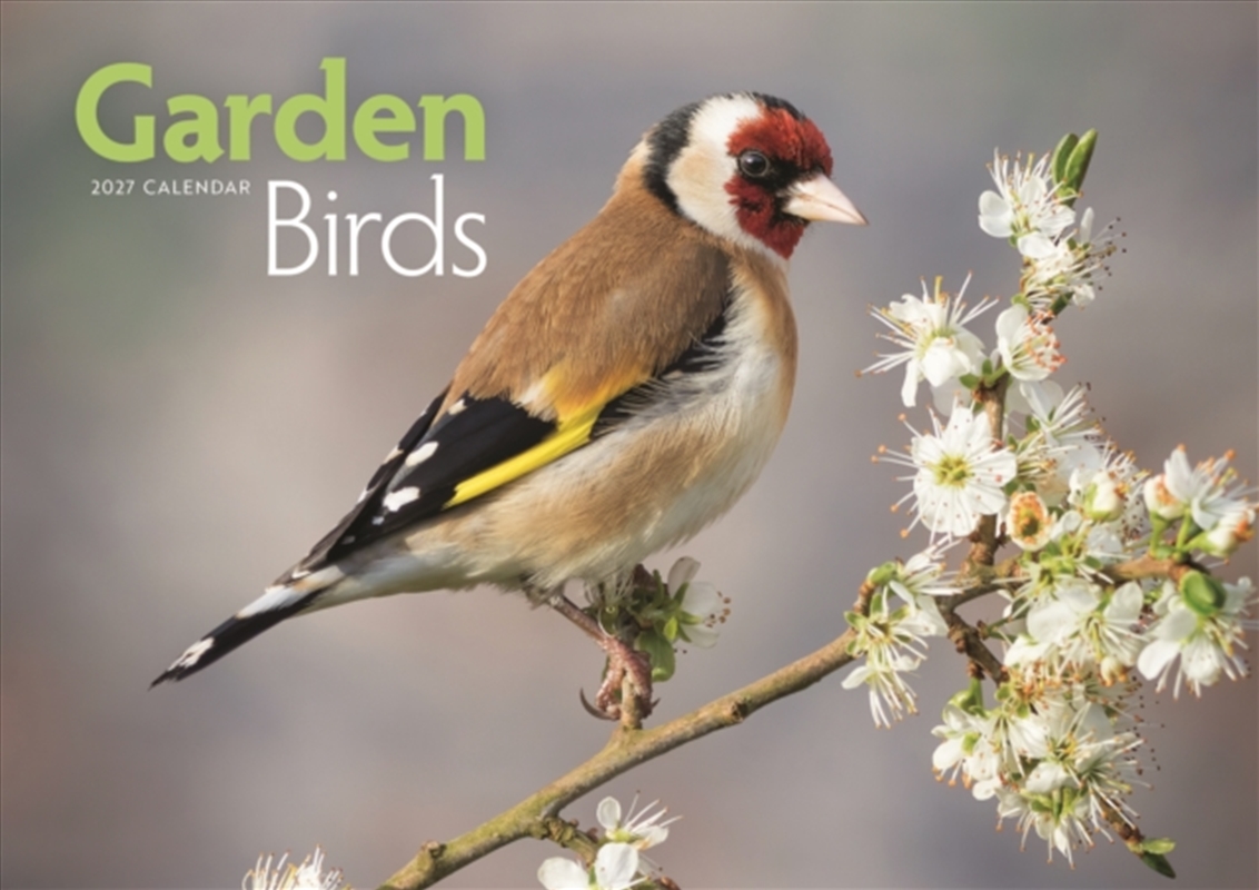 Garden Birds (PFP) A4 Calendar/Product Detail/Calendars & Diaries