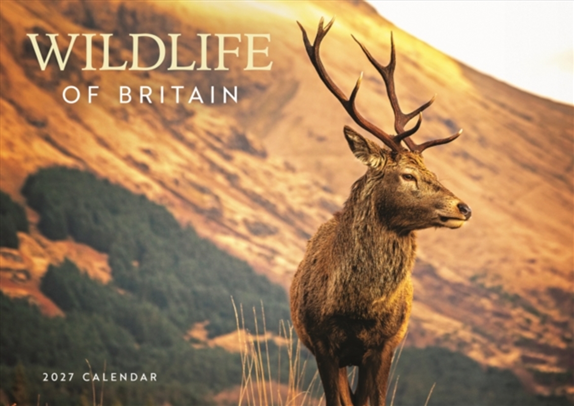 Wildlife of Britain (PFP) A4 Calendar/Product Detail/Calendars & Diaries