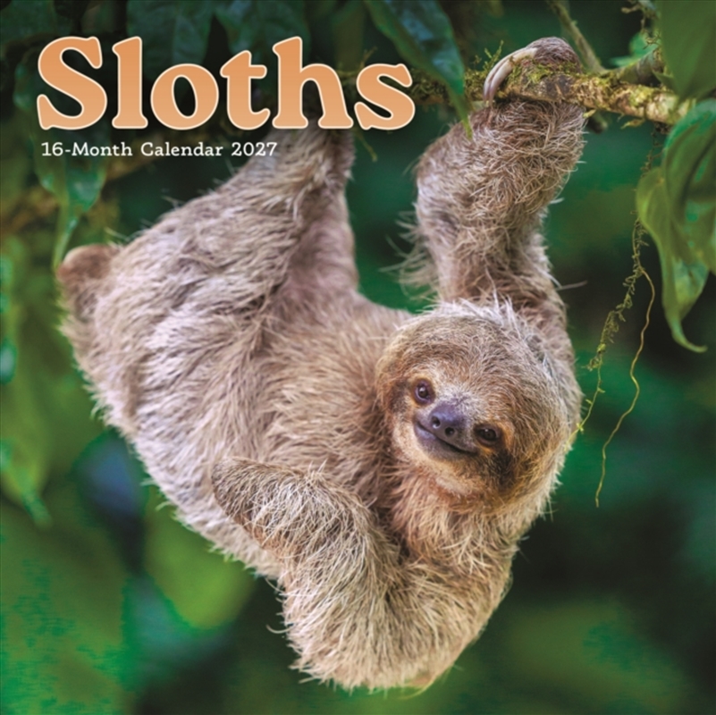 Sloths M (Sunday Start)/Product Detail/Calendars & Diaries