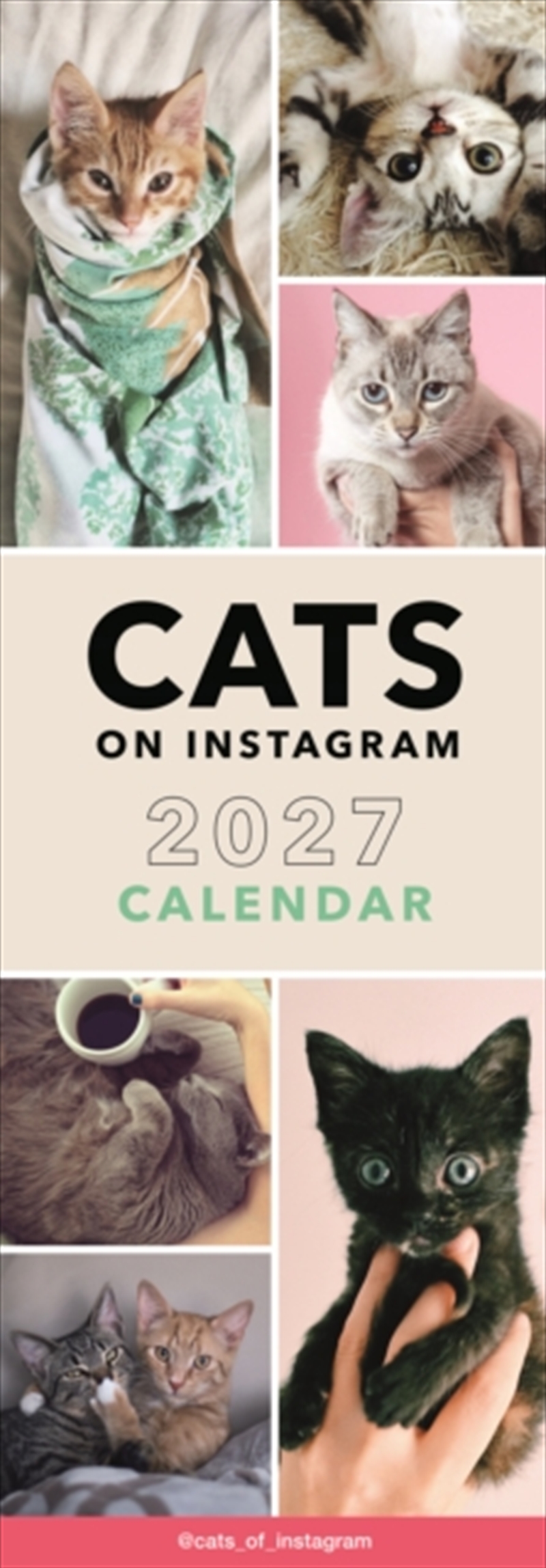 Cats on Instagram Slim Calendar/Product Detail/Calendars & Diaries