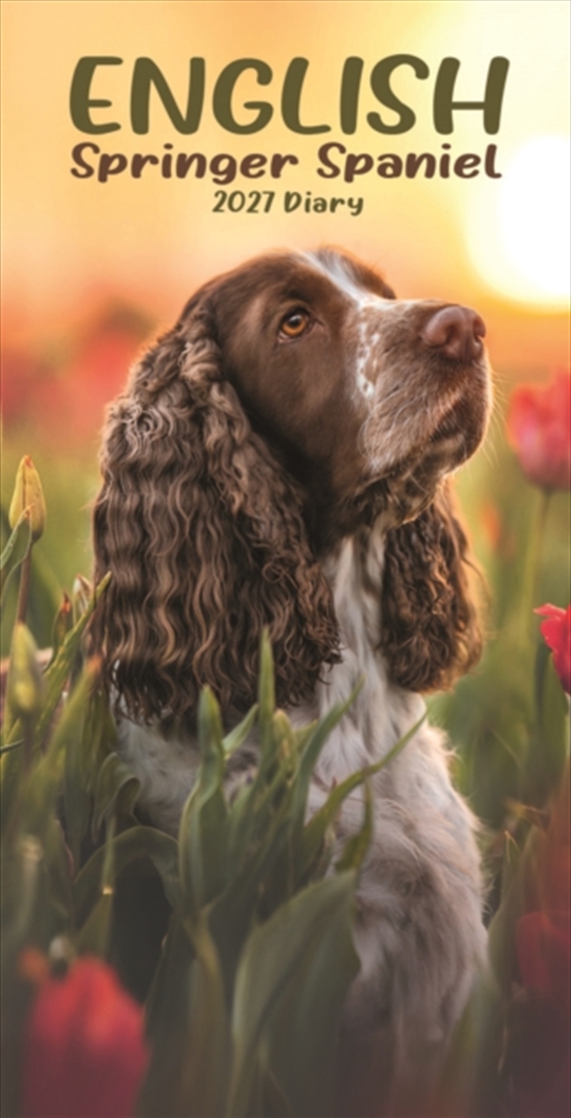 English Springer Spaniels Slim Diary/Product Detail/Calendars & Diaries