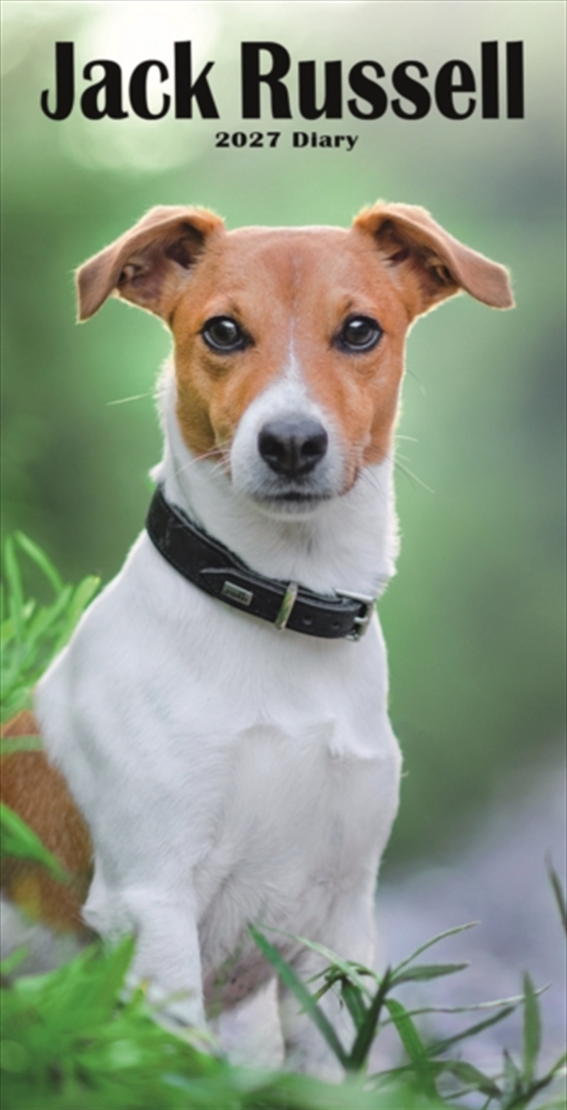 Jack Russell Terriers Slim Diary/Product Detail/Calendars & Diaries