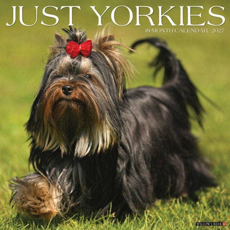Yorkies 2027 Wall Calendar/Product Detail/Calendars & Diaries