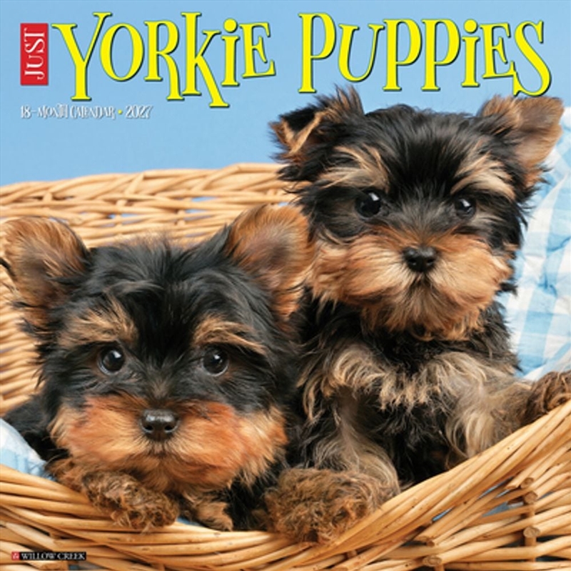 Yorkie Puppies 2027 Wall Calendar/Product Detail/Calendars & Diaries