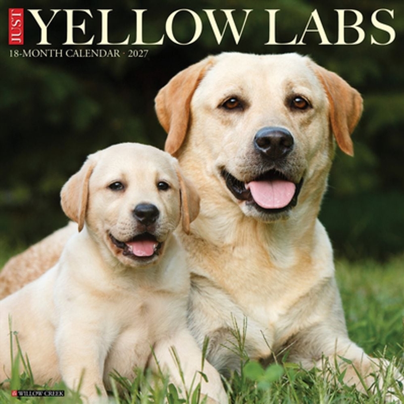 Yellow Labs 2027 Wall Calendar/Product Detail/Calendars & Diaries
