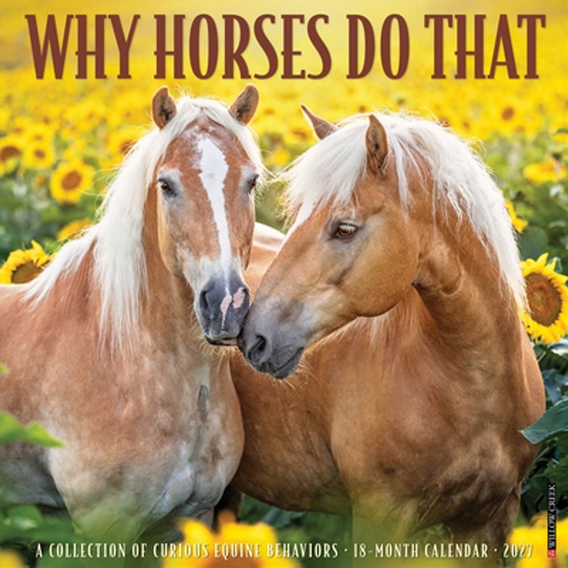 Why Horses Do That 2027 Wall Calendar/Product Detail/Calendars & Diaries