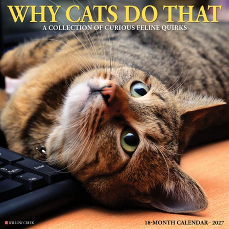 Why Cats Do That 2027 Wall Calendar/Product Detail/Calendars & Diaries