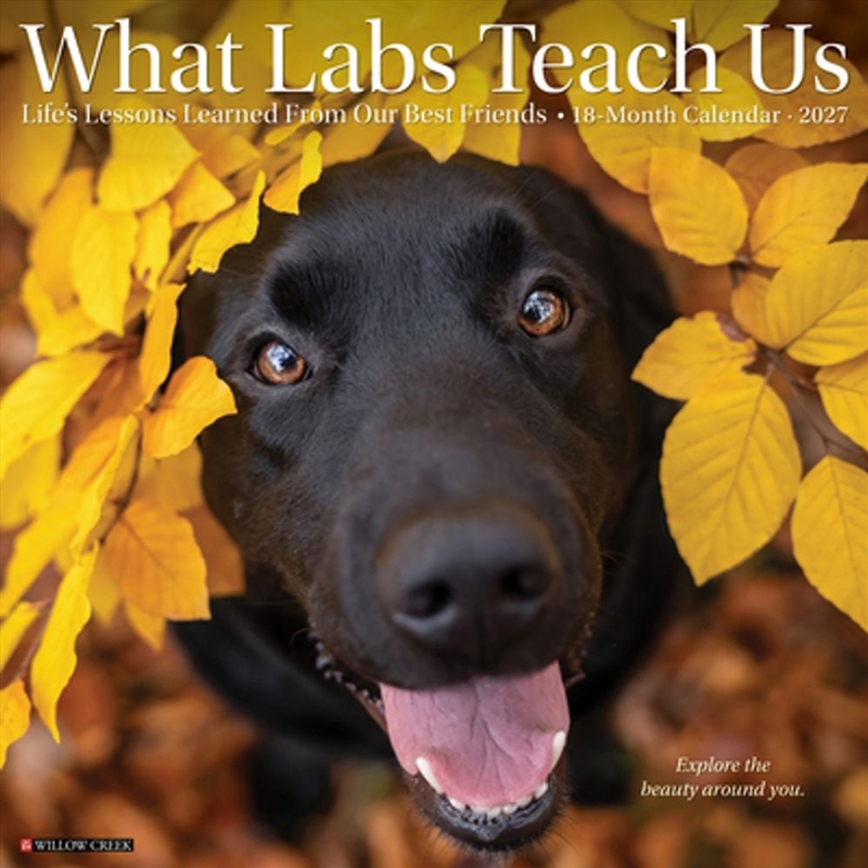 What Labs Teach Us 2027 Wall Calendar/Product Detail/Calendars & Diaries