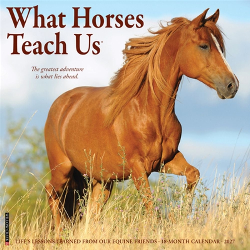 What Horses Teach Us 2027 Wall Calendar/Product Detail/Calendars & Diaries